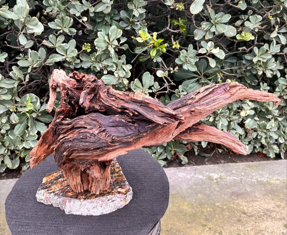 Aquarium Fish Tank Terrarium Aquascape  Manzanita Root Granite Base - Image 2 of 4