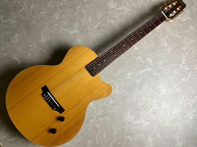 YAMAHA AEX500NS | eBay