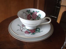 H&G SELB (Heinrich) BAVARIA VINTAGE 1 PC TEA/COFFEE  CUP & SAUCERS 