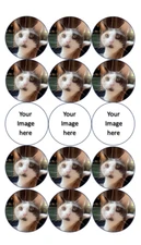 SET OF 15- custom designed set of edible images for desserts, choose your size