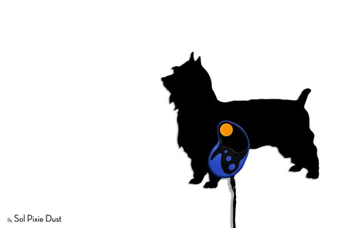 Silky Terrier Dog - Nombre Personalizado Perro Correa Portador - Gancho de Pared