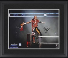 Rey Fenix WWE Framed Signed 16