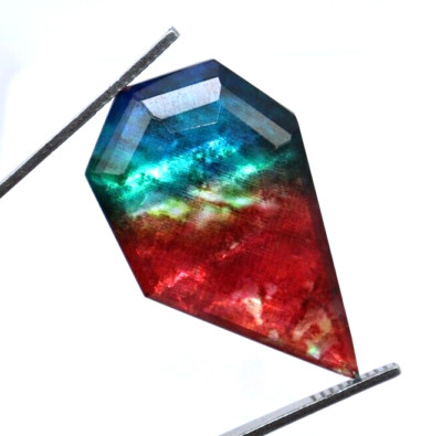 44 Ct Natural Ammolite Opal-Like Organic Doublet Loose CERTIFIED GEMSTONE