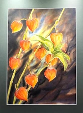 Original Watercolor Painting 12x16in Red Physalis Cherry Watercolor Artgift