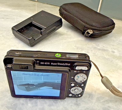 Sony Cyber-shot DSC-W170 10.1MP Digital Camera - Silver (DSC-W170 Sony Cyber-shot DSC-W170 10.1MP Digital Camera - Silver (DSC-W170