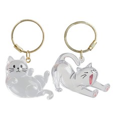 Dog Hair Collector Keyring Transparent Dog Hair Collector Key Chain