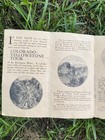 ANTIQUE 1906 COLORADO YELLOWSTONE TOUR BURLINGTON ROUTE RAILROAD BROCHURE & MAP — photo 8