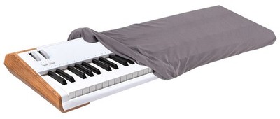 Arturia ASTROLAB 61 Key Stage Keyboard w/MIDI DIN I/O, USB-C+On-Stage Dust Cover