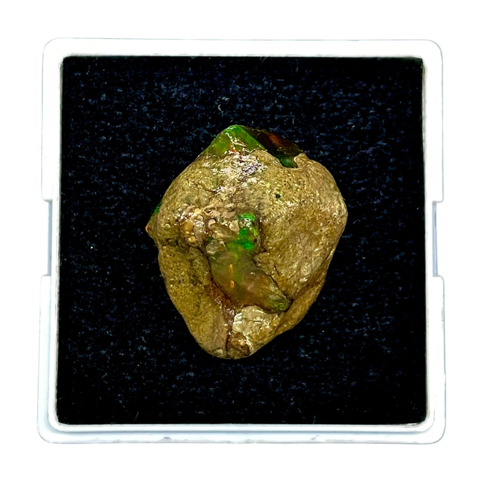 Picture 4