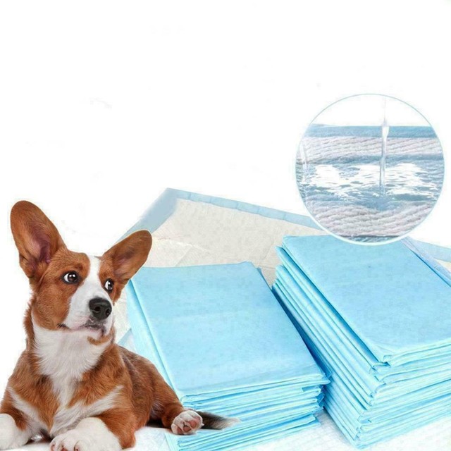 best dog training pads