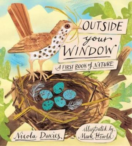Nicola Davies Outside Your Window (Hardback) (US IMPORT)