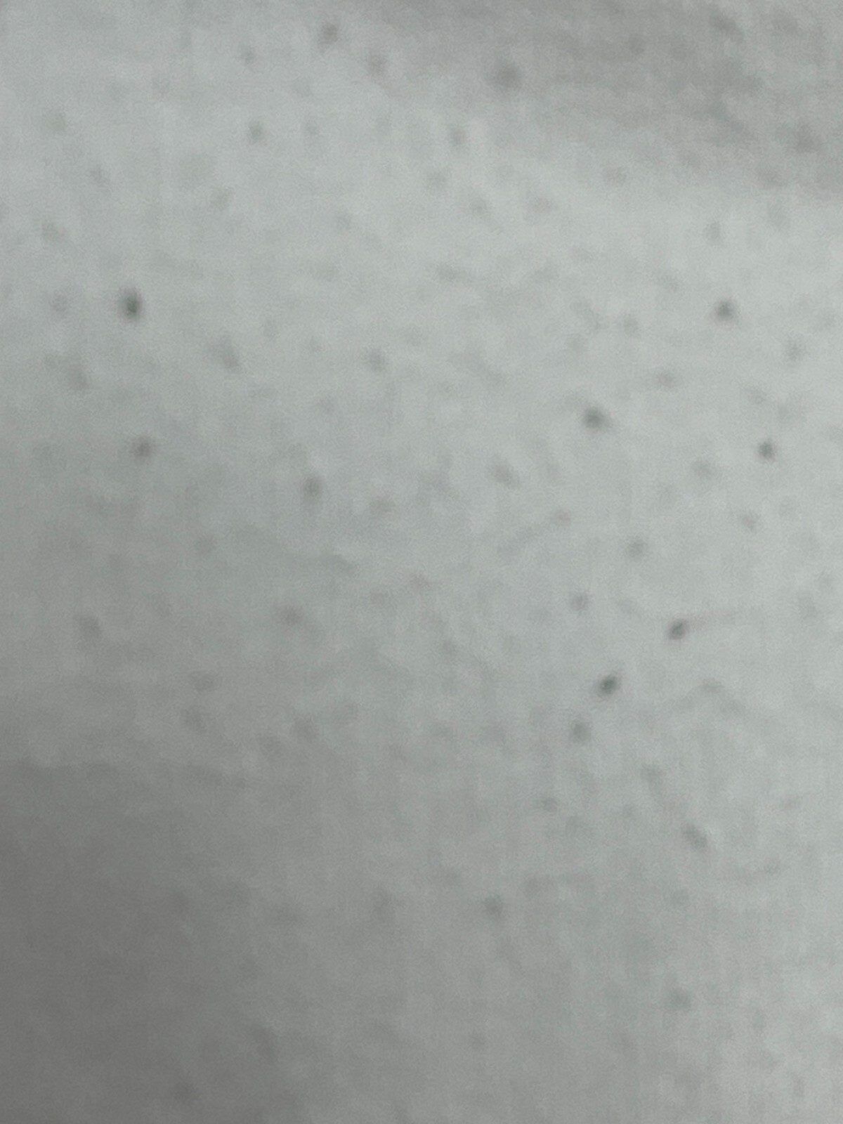 Picture 5 of 7