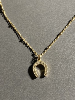 Banana Republic 16'' Cubic Zirconia Horseshoe Necklace. Discontinued. New in Box