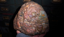 New Mexico Pudding Stone 10 pounds 7 x 4 x 5