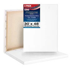 3 Pack of US Art Supply 30" x 48" Acrylic Primed Cotton Duck Stretched Canvas