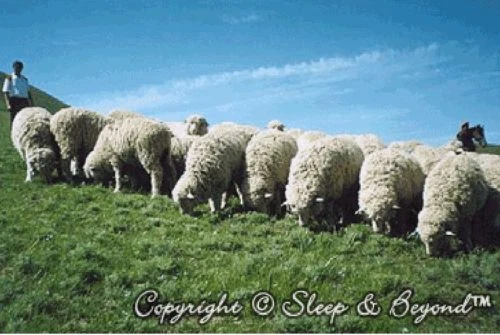 Protector de almohadilla de colchón de lana polar lavable myDual Sleep & Beyond Foto 3 de 4