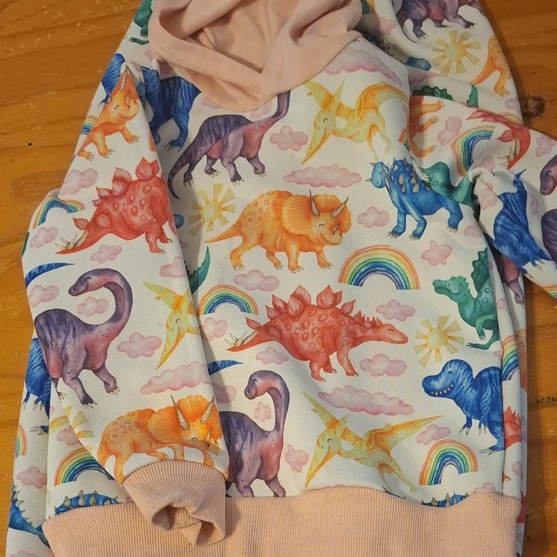 Dinosaur Rainbow  Print Fleece Pullover Hoodie and matching pants size 120 