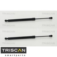 2X Gasfeder FüR Koffer-/Laderaum Triscan 871011240 DäMpfer GasdäMpfer