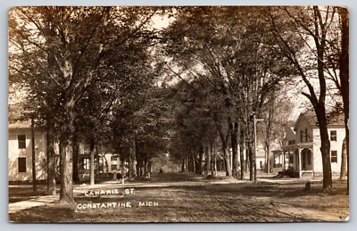 Constantine MI Tree-Lined Wide, Dirt Canaris St~Ladies on Sidewalk~RPPC 1912 PC
