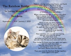 personalized rainbow bridge pet loss memorial poem dog cat