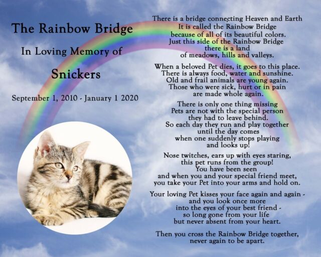 printable-rainbow-bridge-poem-rainbow-bridge-dog-rainbow-bridge-free-printable-poem-pet-loss