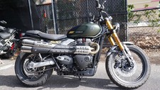 2026 Triumph Scrambler 900 