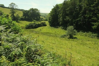 Photo 6x4 Valley below Venn Dartmouth Of the eastern arm of Blackpool Lak c2017