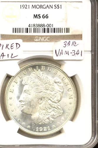 1921 VAM-3a1c SPIKED TAIL NGC MS66 MORGAN DOLLAR WHITE. NO TONING.