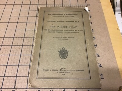 original 1916 THE DOMESTIC CAT - BIRD KILLER, MOUSER & DESTROYER OF WILD LIFE