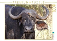 Calvendo Puzzle Water Buffalo, Kenya | 1000 Pieces, Finished Size 25.2 × 18.9 In
