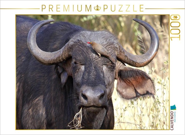 Calvendo Puzzle Water Buffalo, Kenya | 1000 Pieces, Finished Size 25.2 × 18.9 In-image