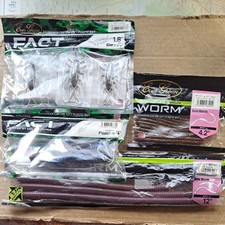 Eergreen Bow-Worm
