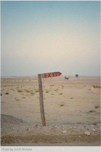 New Kodak Color Negative Film Portra 400 4X5 (10 sheets) from Japan - Picture 3 of 3