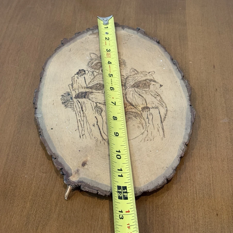 Placa colgante de pared artesanal de madera mapache decoración camping Foto 4 de 4
