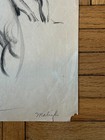 Foto 7 di 11