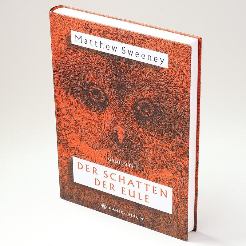 Thumbnail - Der Schatten Der Eule Matthew Sweeney