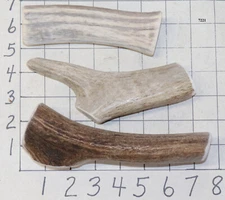 3 Elk Antler Dog Chew Treats Crafts