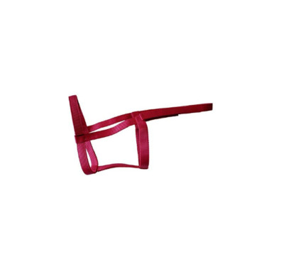 Rhinegold/Metallfrei/Feldsicheres Halfter/Warmblut/Himbeer/Pferdehalfter/Weide