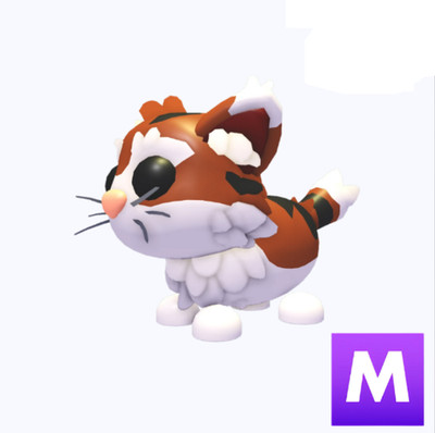 PET NEW HOT  M Munchkin Cat  The Trusted Store!!