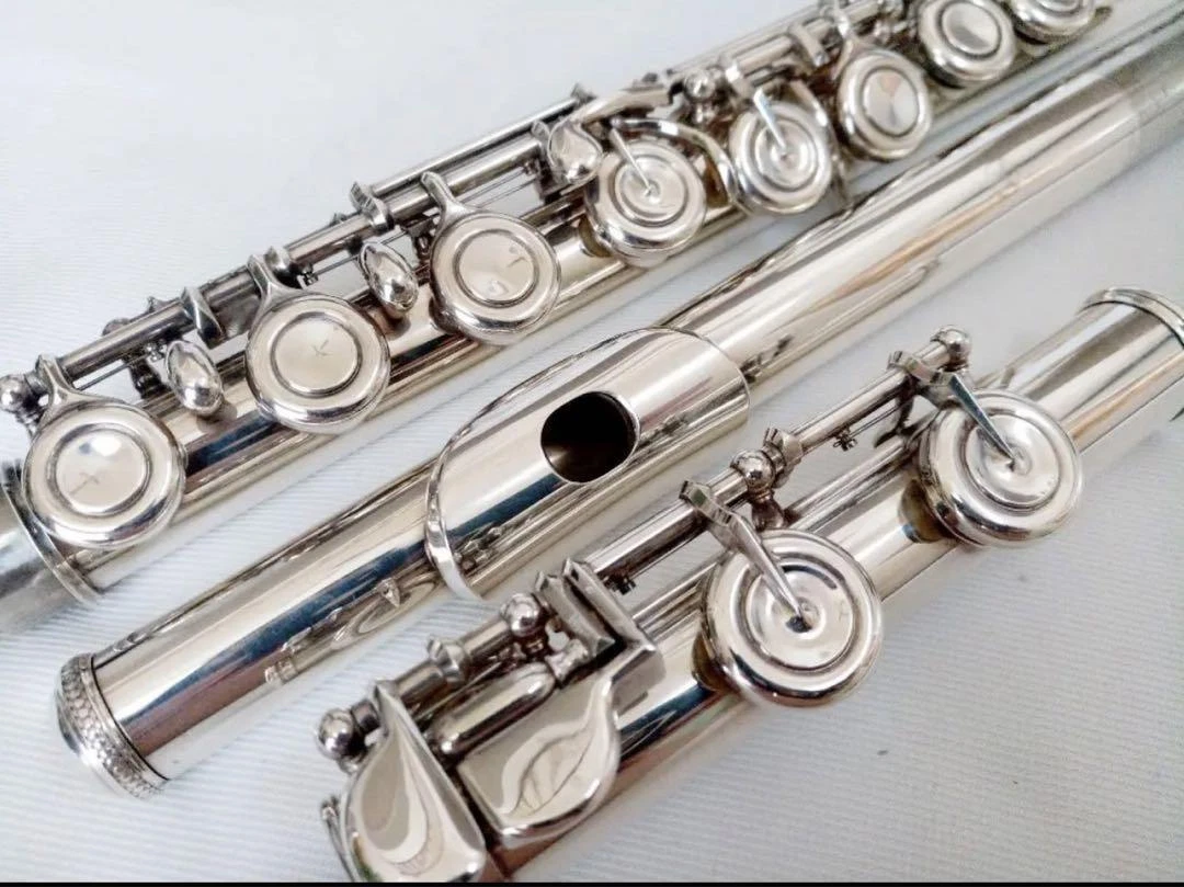 beautiful good professional model lip silver YAMAHA flute YFL-351 with new  case