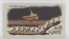2020 Topps Allen & Ginter's Buggin' Out! Minis Thorn bug #MBO-5 9r7
