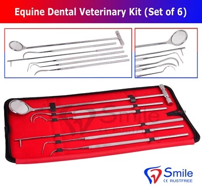 Smile England Equine Dental Mirror Scaler Probe Explorer Veterinary Kit / Set SS