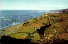 Brookings on Southern Oregon Coast Azalea State Park Vintage Chrome Postcard A50