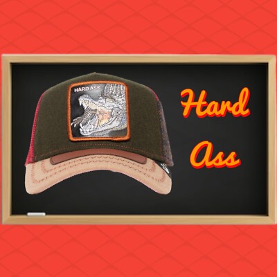Goorin Bros  Animal Trucker HARDASS Play Capsule Crocodile School Limited Croc