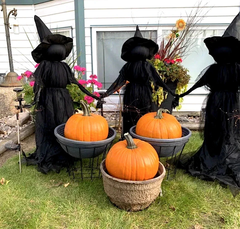 Pottery Barn Iluminado Halloween Brujas Estacas Exterior, 52"H - Juego de 3 Foto 2 de 4