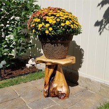 Rustic Cedar Root Plant Stand Mushroom Stool Natural Shaped Side Table 13.5"H