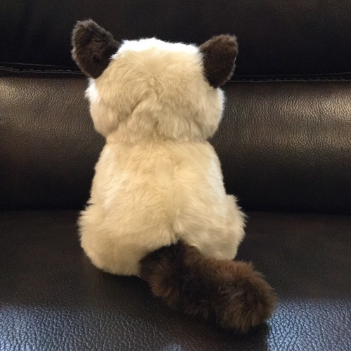 Grumpy Cat Limited Gund plush 9” blue eyed pre owned plush cat. - Picture 2 of 7