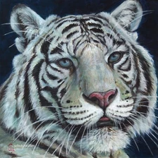 White Tiger portrait ORIGINAL 23-0025  artist Svetlana Ledneva-Schukina