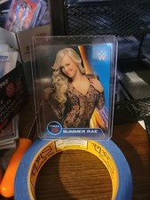 WWE WRESLING - 2014 - Edibas Lamincards - n. ...