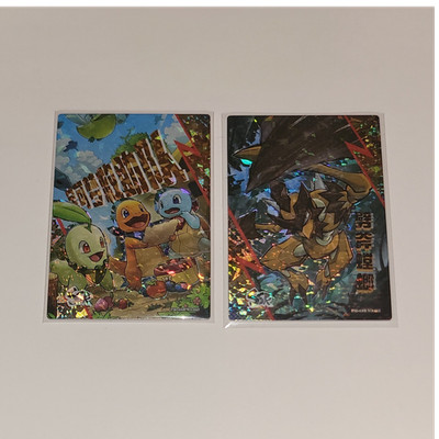 Pokémon TCG PM-SSR Starter Friends Holo Lot Chinese Eif Fan Made Cards 